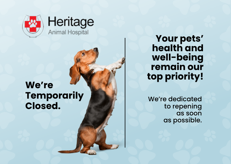 Carousel Slide 1: Learn More >>