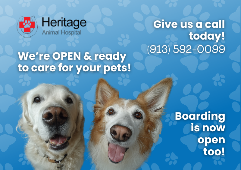 Carousel Slide 1: Learn More >>