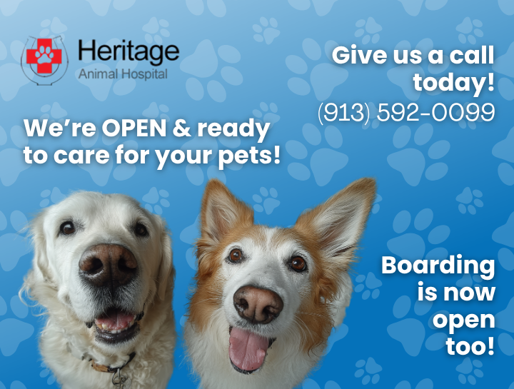 Exciting News: Heritage Animal Clinic Is Now Open!