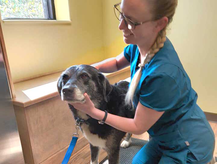 Senior Pet Care